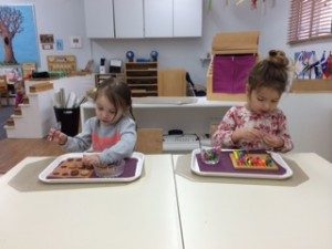 Children's House Montessori